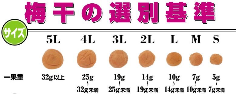 梅干しのサイズ